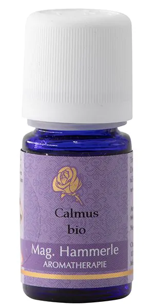 2026_05_20_349536